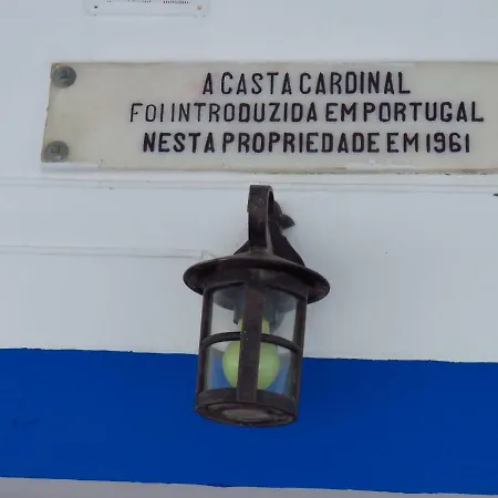 Vale Do Boto-quinta Com 3 Casas